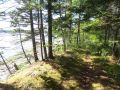 7_08lot.jpg